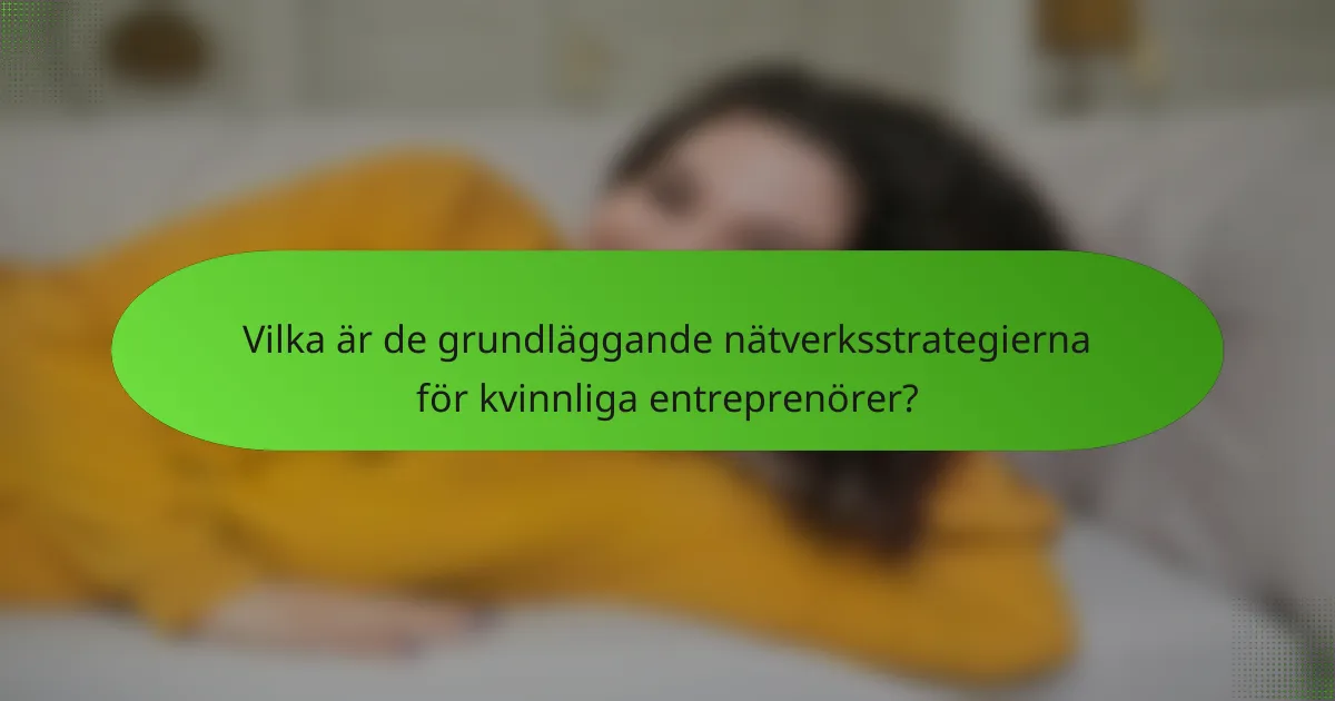 Vilka är de grundläggande nätverksstrategierna för kvinnliga entreprenörer?
